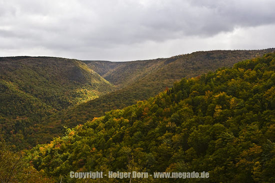 Highlands - Natur pur!