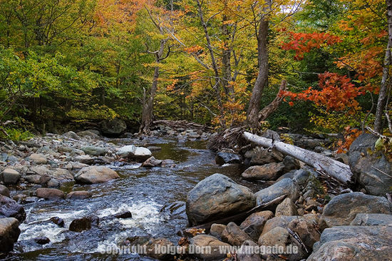 Wunderschöner kleiner Bach