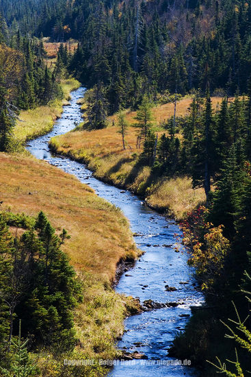 So richtig typisch Kanada.