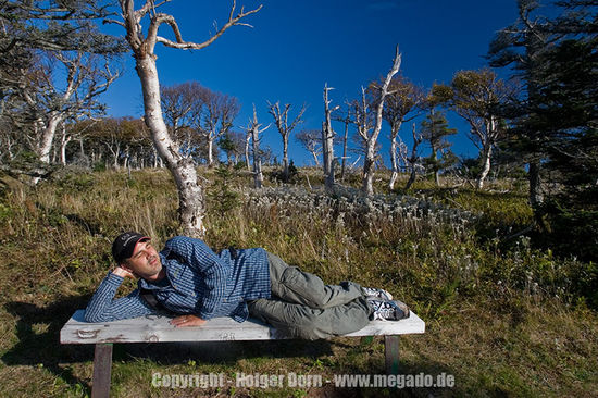 Ruhepause in der Herbstsonne.