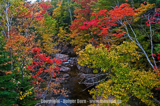 Schönes Flüßchen auf dem Weg nach White Point