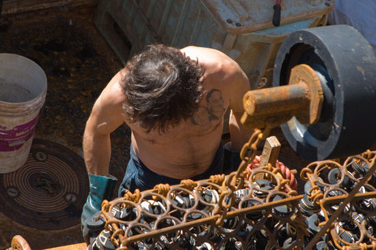 Wie man sich einen Fischmann so vorstellt.