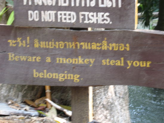 Beware of the monkeys