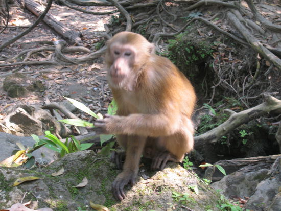 Der sass einen halben Meter entfernt von mir...