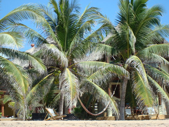 Eifach nume schoen, da chamer gar ned meh saege...