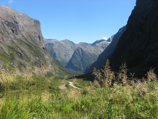 Auf dem Weg zum Milford Sound