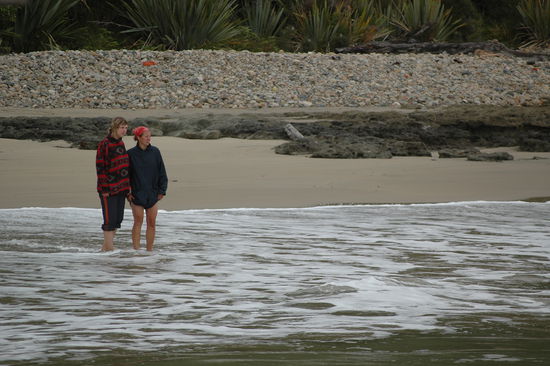 Ausschau nach Delphinen
