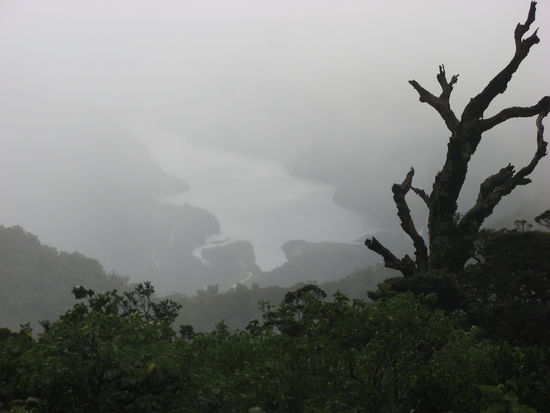 Blick auf den Doubtful Sound