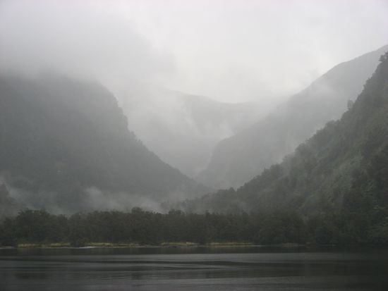 Doubtful Sound im Nebel