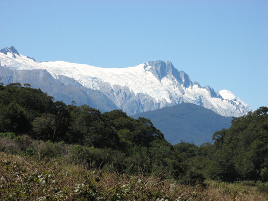 Gletscher des Mt Aspiring National Parks