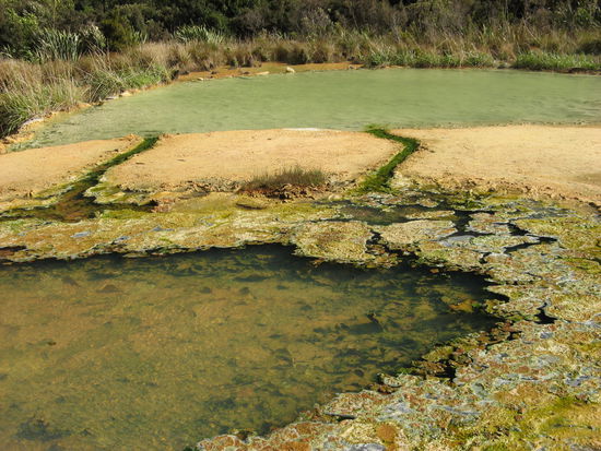 Im gruenen Hot Pool konnte gebadet werden