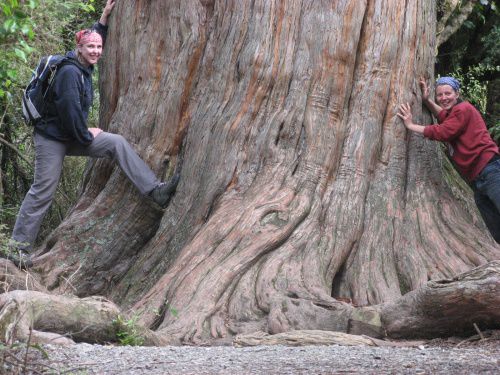 Manu und Roschi am Big Tree