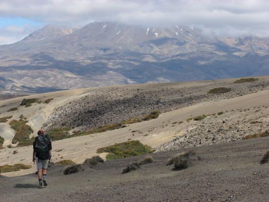 Unterwegs erhaschten wir immer wieder einen Blick auf den Mt. Ruapehu