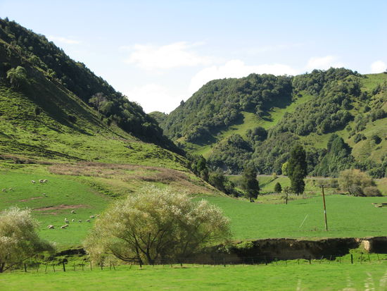 Schnappschuss aus dem Auto