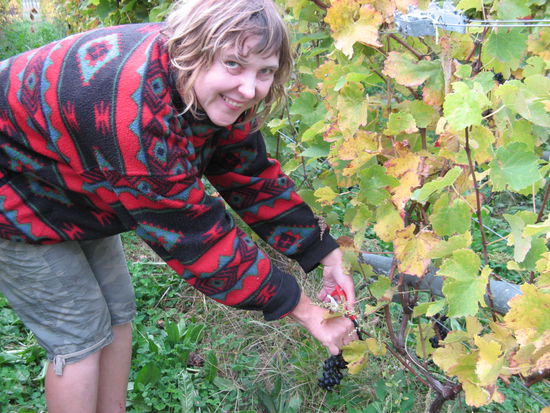 Schnipp, Schnapp - Ab