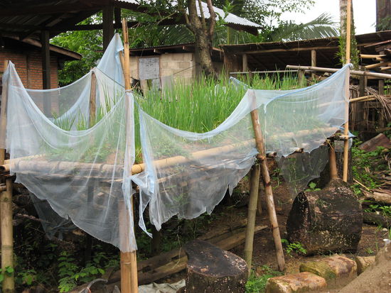 Hochbeet im Bergdorf