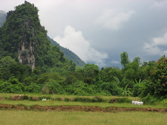 ... und noch ein Landschaftsbild