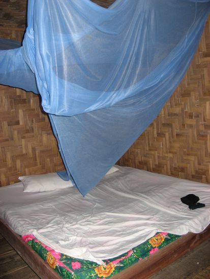 Der nette, romantische Anblick taeuscht - Spinnen- und Kakerlakengefahr -