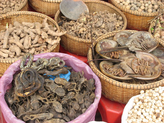Diese getrockneten Tierchen und Pflanzen haben wir auf einem der Maerkte entdeckt