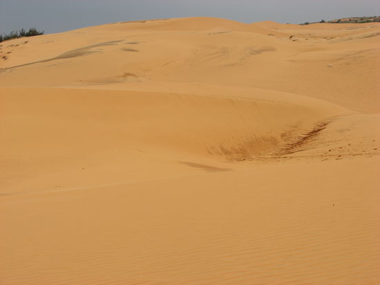 Yellow Sand Dunes