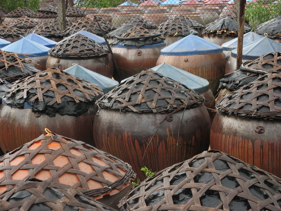 In diesen Toepfen gaert die beruehmte vietnamesische Fischsauce