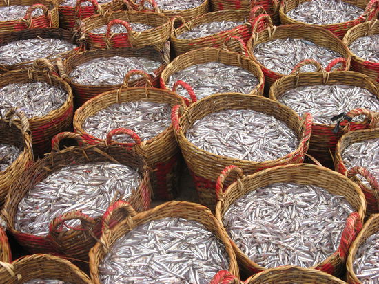 Und aus diesen Fischlis wird sie zubereitet