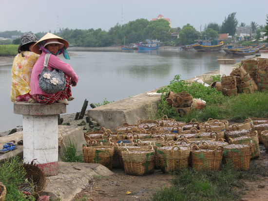 ...und fuer den weiteren Transport bereit gestellt wurden