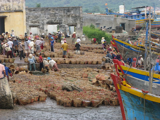 ...an denen die Fischlis fuer die beruehmte Fischsauce entladen wurden...