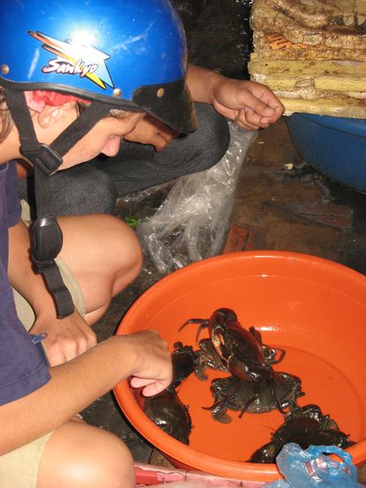 Roschi durfte die Krabben fuer den Hot Pot selbst aussuchen