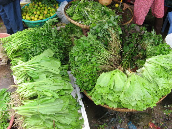 Von diesem Salatzeugs kauften wir auch reichlich