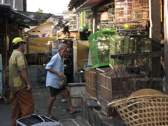Ein Teil des Vogelmarktes, gruselig