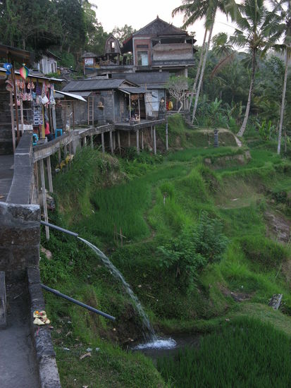 kurzer Zwischenstopp auf dem Rückweg nach Ubud...