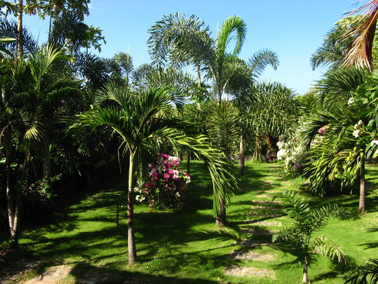 Garten von unserer Unterkunft