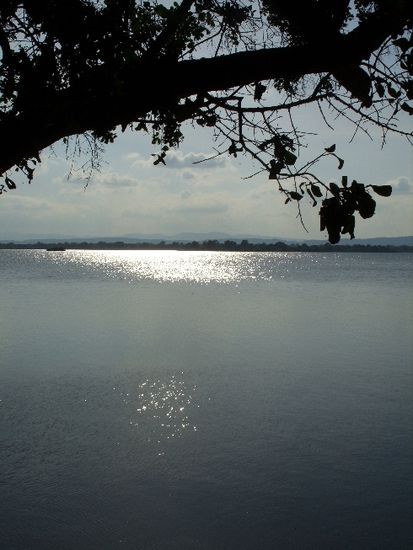Der Lake - ein Lichtblick in Polonnaruwa
