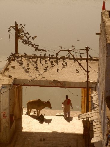 Ghat am Pushkar Lake