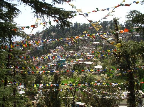 Idyllisches Mcleod Ganj
