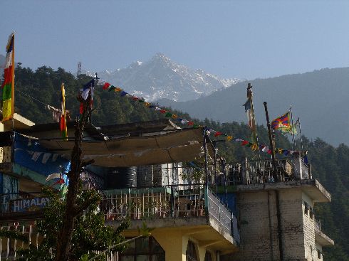 Blick von unserem Guesthouse