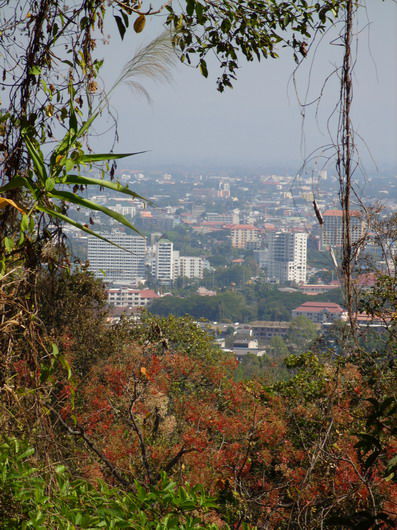 Chiang Mai von oben