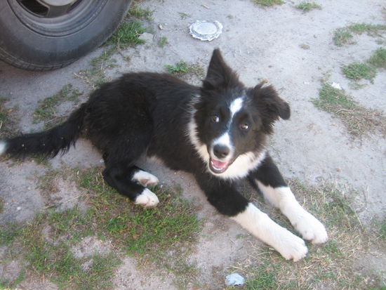 unser suesser Puppie