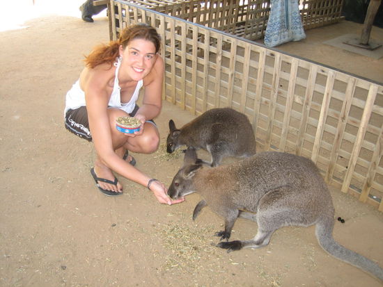 Ja, zu futtern kriegen die auch mal was!