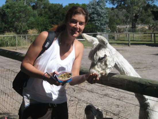 Keine Ahnung was das fuer ein Tier ist????