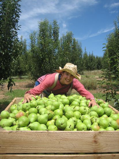 Hab ich alles gepflueckt!