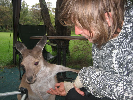 Das Hauskaengeruh in Port Stephens