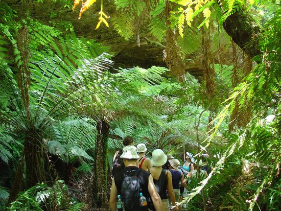 Wanderung im Grand Canyon