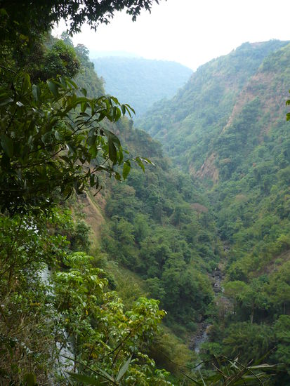 Aussicht in eine tiefe Schlucht des Bolaven-Plateaus (und ja, wir sind runter und wieder rauf gewandert bzw. geklettert!!!) links im Bild sieht man uebrigens noch einen der unzaehligen Wasserfaelle, die es hier gibt.