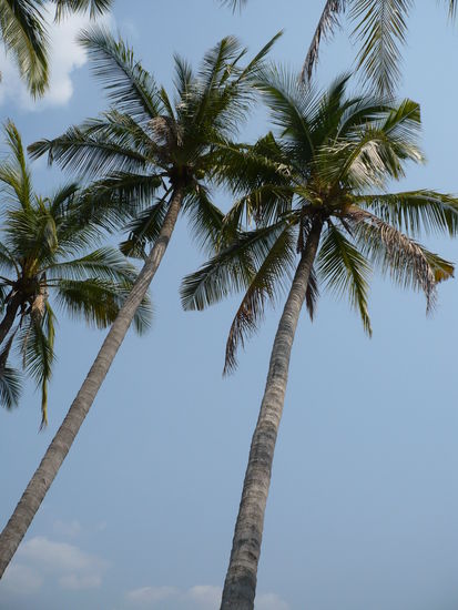 Ist es nicht schoen?!