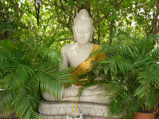Ein schoener Buddha in herrlicher gruener schattiger Umgebung!