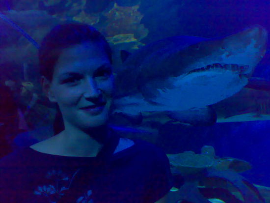 Der Hai und ich - gluecklicherweise durch eine Glaswand getrennt!!