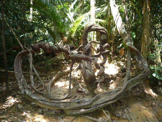 Was die Natur nicht alles kann! Sieht aus wie ein Kunstwerk, aber alles von Mutter Natur geschaffen!