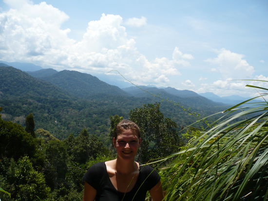Aussicht von Mount Teresik. Nichts als gruen - wunderschoen 